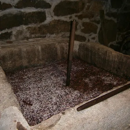 Σπίτι διακοπών Casa Da Costinha Cinfaes