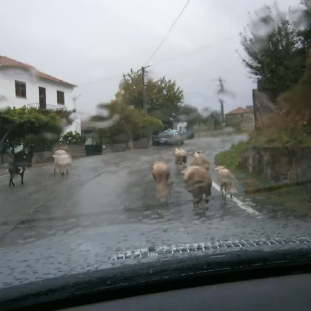 Σπίτι διακοπών Casa Da Costinha Cinfaes