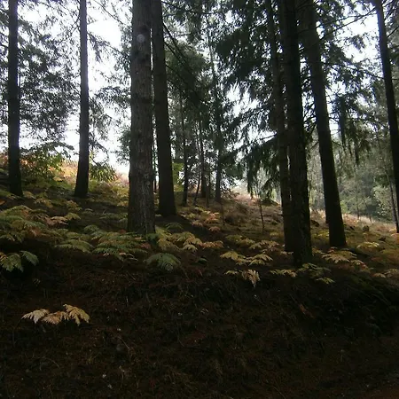 Σπίτι διακοπών Casa Da Costinha *