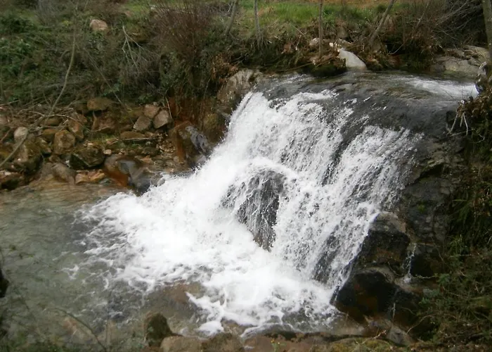 Casa Da Costinha 친파에스