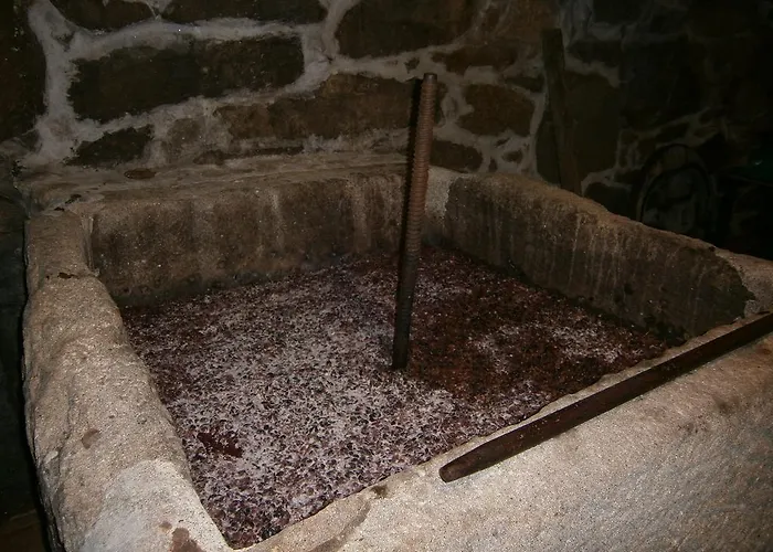 펜션 Casa Da Costinha 친파에스