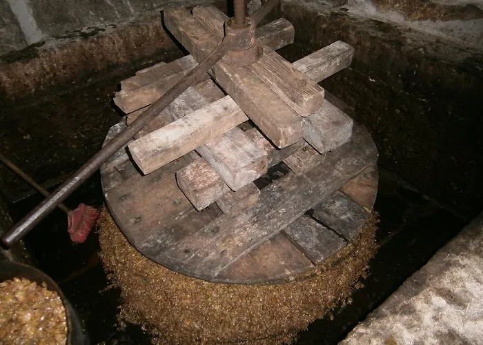 펜션 Casa Da Costinha *