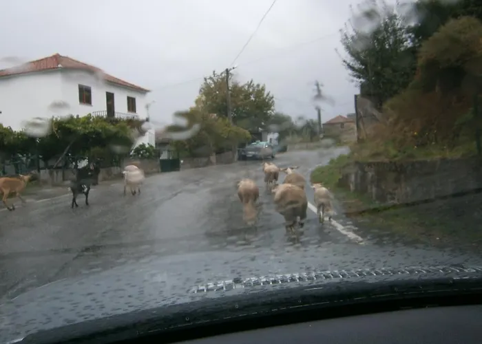 펜션 Casa Da Costinha 친파에스