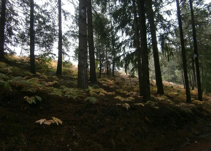 Holiday home Casa Da Costinha *